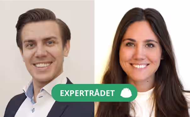 porträttbider på infobrics expertråd