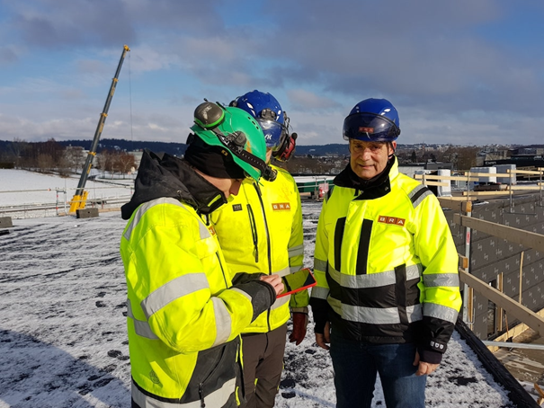 billström riemer andersson infobric field