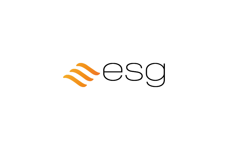 Essex Services Group Ltd